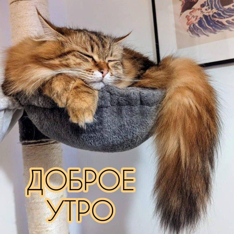 https://upforme.ru/uploads/000a/78/7a/526/527503.jpg