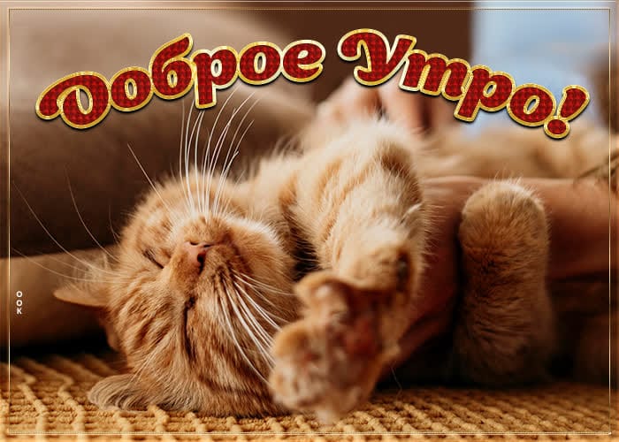 https://upforme.ru/uploads/000a/78/7a/526/546676.jpg