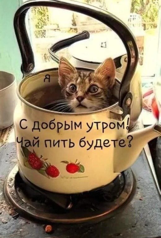 https://upforme.ru/uploads/000a/78/7a/526/56214.jpg