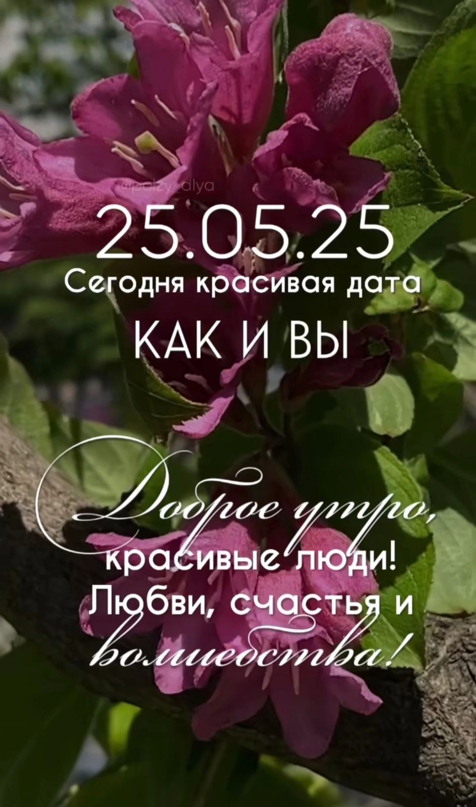 https://upforme.ru/uploads/000a/78/7a/526/582509.jpg