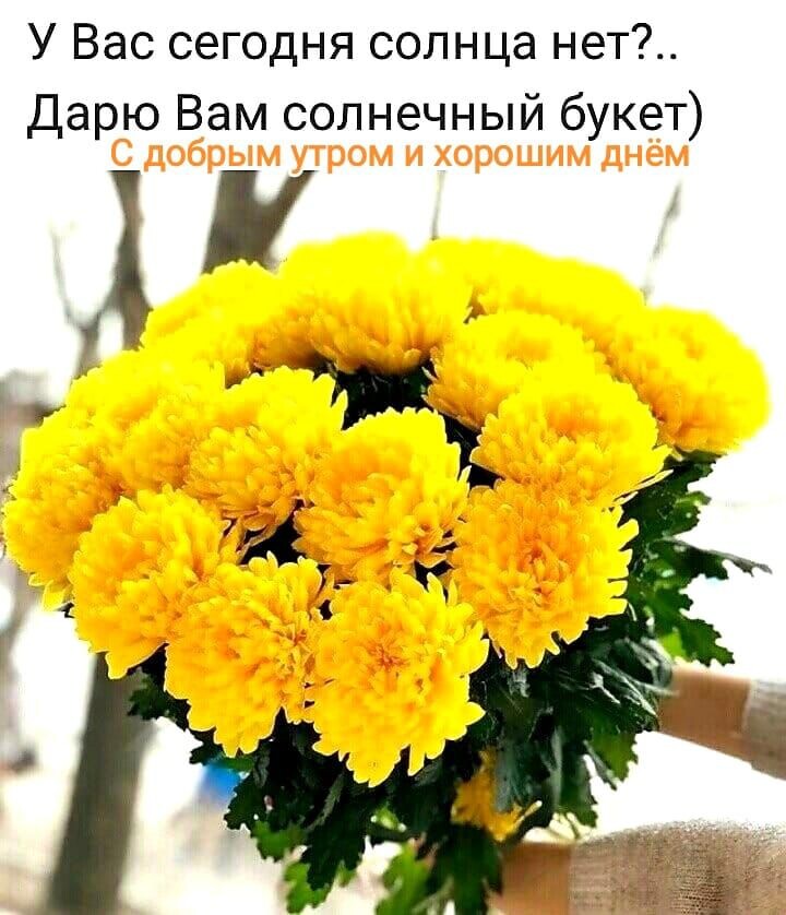 https://upforme.ru/uploads/000a/78/7a/526/589019.jpg