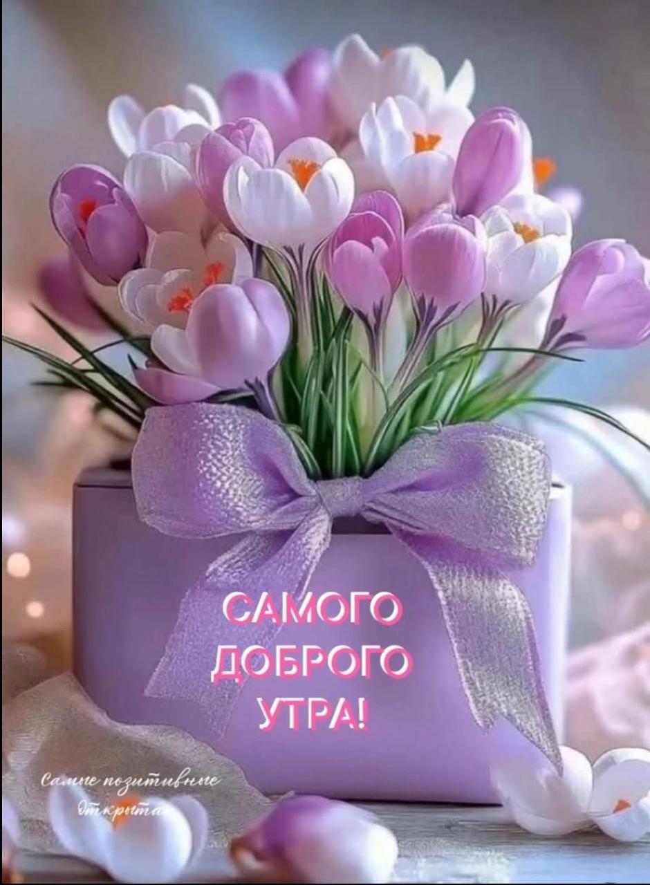 https://upforme.ru/uploads/000a/78/7a/526/606786.jpg
