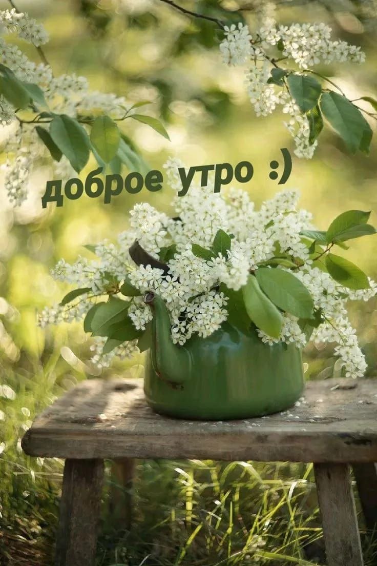 https://upforme.ru/uploads/000a/78/7a/526/620116.jpg