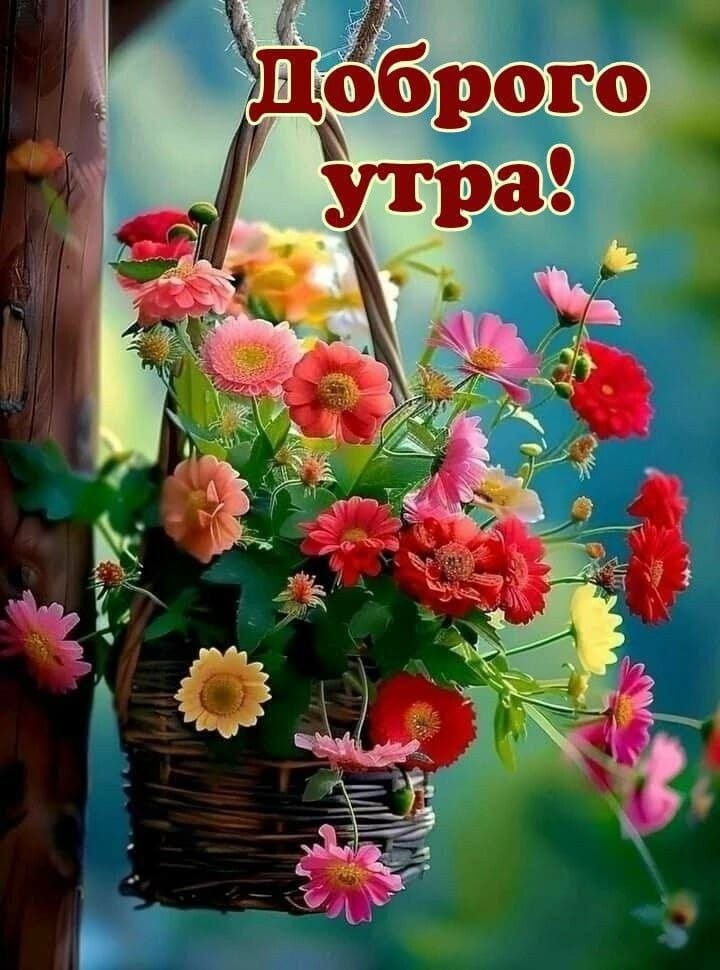 https://upforme.ru/uploads/000a/78/7a/526/621848.jpg