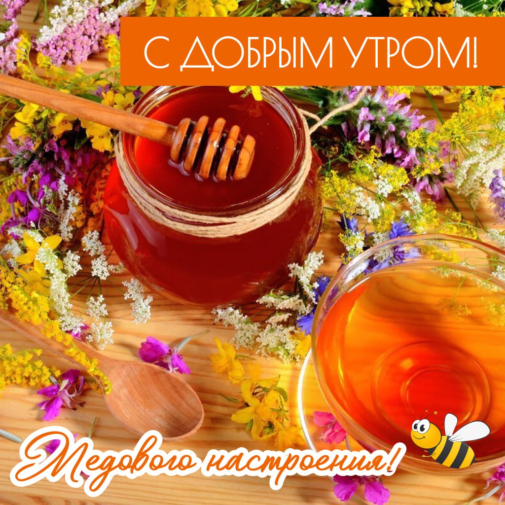 https://upforme.ru/uploads/000a/78/7a/526/626299.jpg