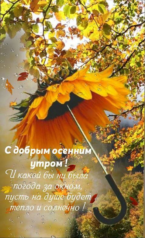 https://upforme.ru/uploads/000a/78/7a/526/627903.jpg