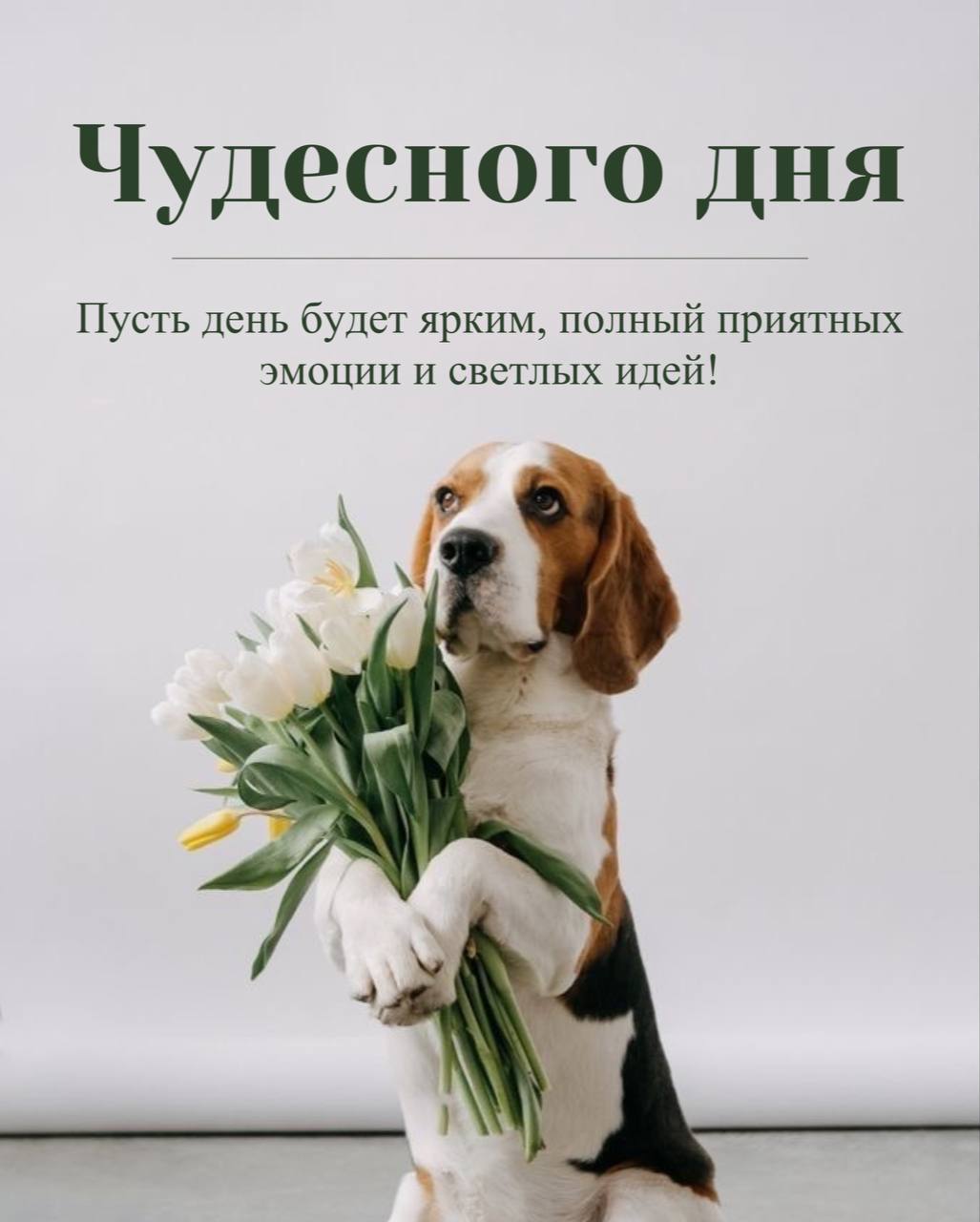 https://upforme.ru/uploads/000a/78/7a/526/634876.jpg
