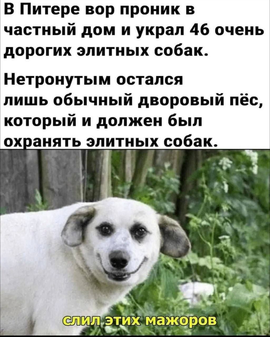https://upforme.ru/uploads/000a/78/7a/526/642930.jpg