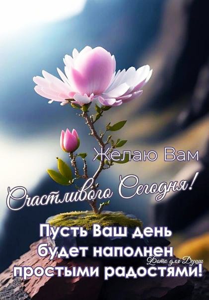 https://upforme.ru/uploads/000a/78/7a/526/649752.jpg