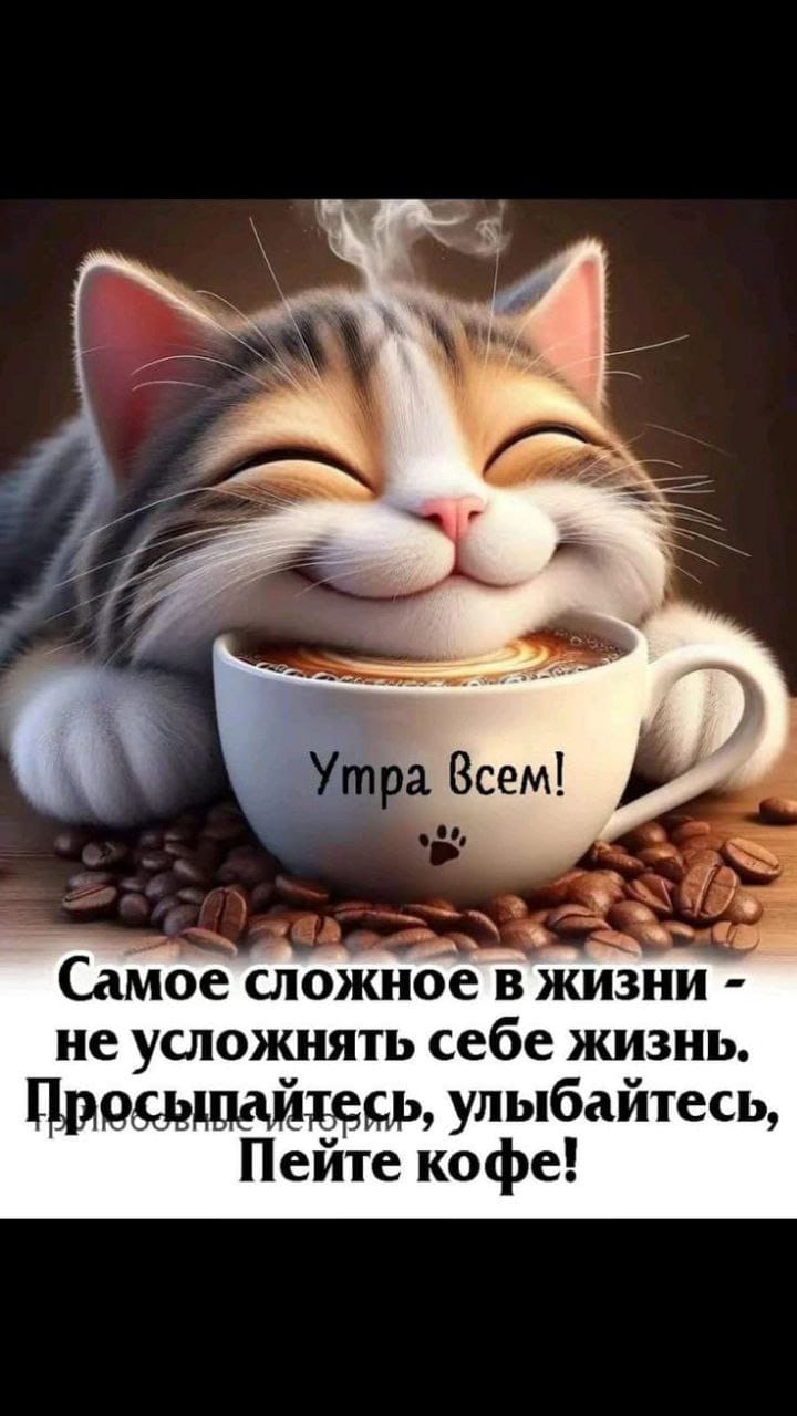 https://upforme.ru/uploads/000a/78/7a/526/654764.jpg