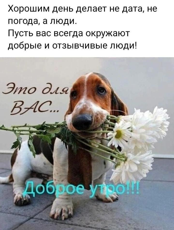 https://upforme.ru/uploads/000a/78/7a/526/655090.jpg
