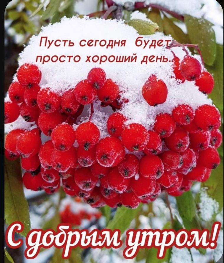https://upforme.ru/uploads/000a/78/7a/526/661604.jpg