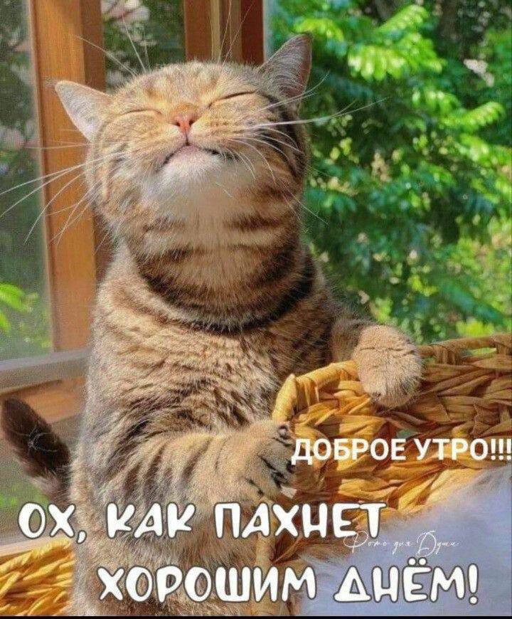 https://upforme.ru/uploads/000a/78/7a/526/683505.jpg