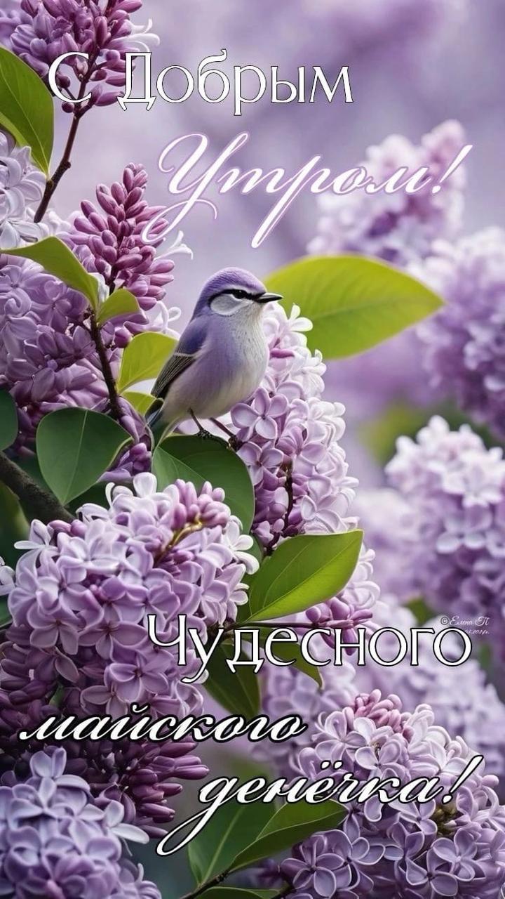 https://upforme.ru/uploads/000a/78/7a/526/704351.jpg