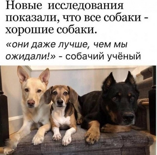 https://upforme.ru/uploads/000a/78/7a/526/707018.jpg