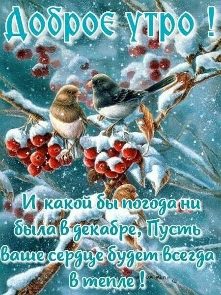 https://upforme.ru/uploads/000a/78/7a/526/714282.jpg