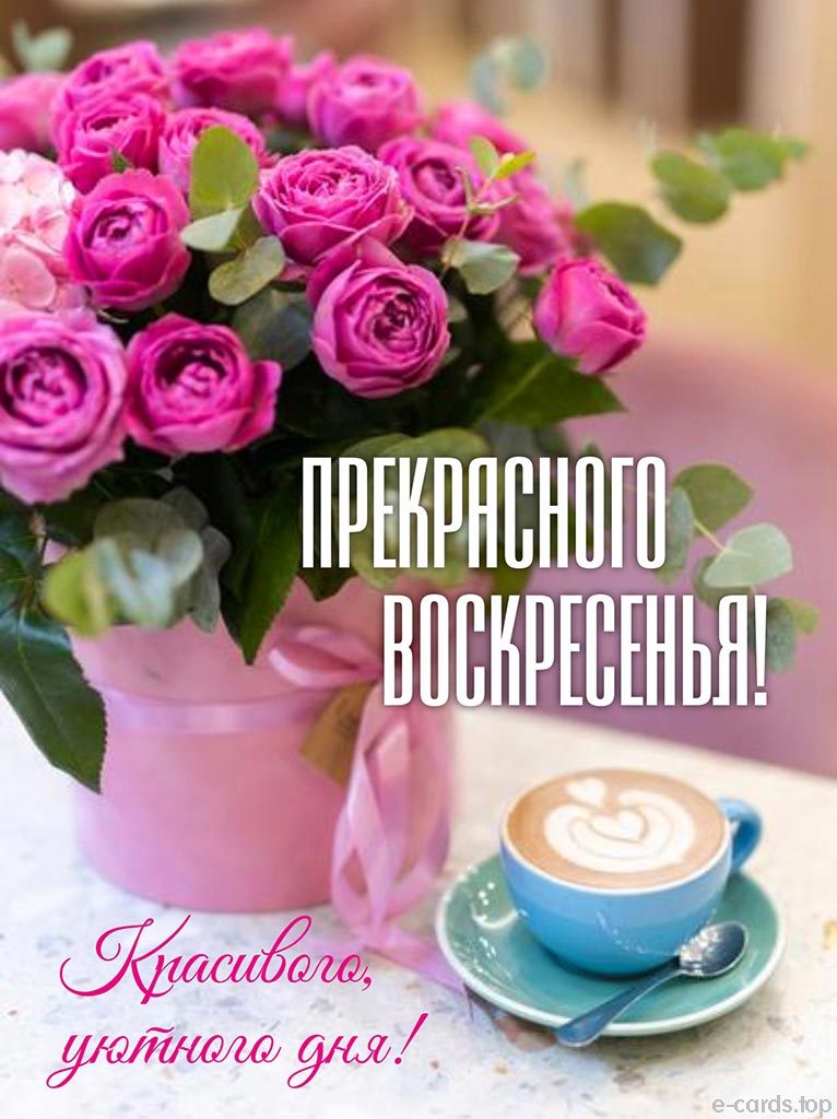 https://upforme.ru/uploads/000a/78/7a/526/721103.jpg