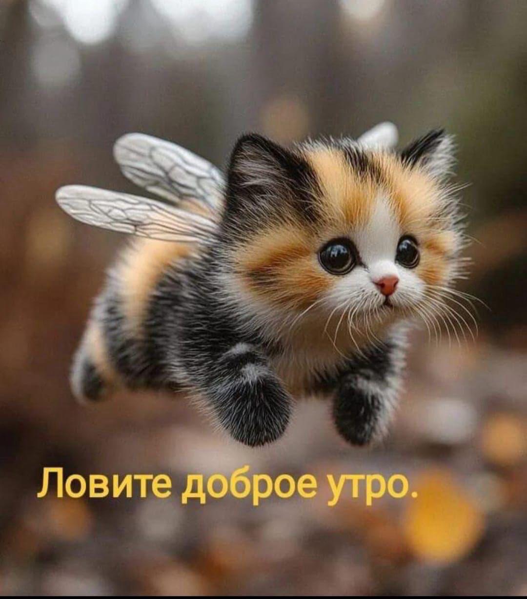 https://upforme.ru/uploads/000a/78/7a/526/735320.jpg