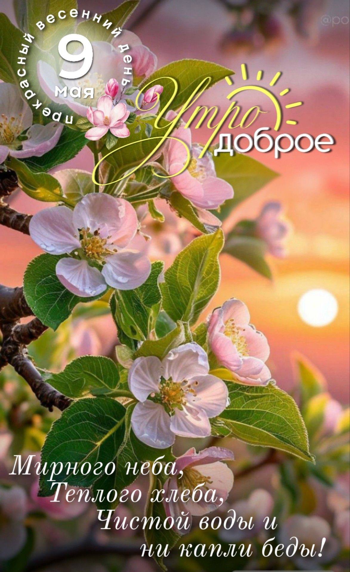 https://upforme.ru/uploads/000a/78/7a/526/750707.jpg