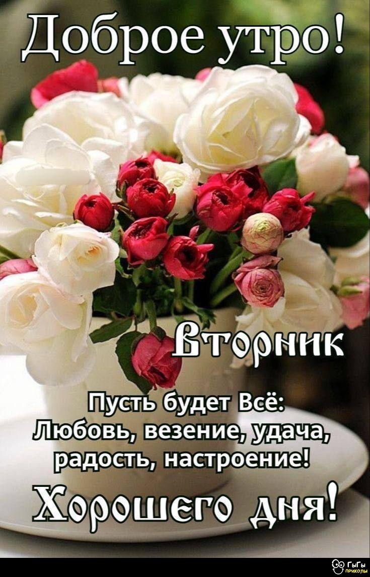 https://upforme.ru/uploads/000a/78/7a/526/77816.jpg