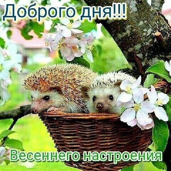 https://upforme.ru/uploads/000a/78/7a/526/780309.jpg
