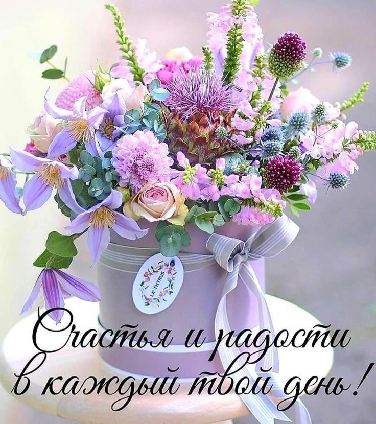 https://upforme.ru/uploads/000a/78/7a/526/803004.jpg