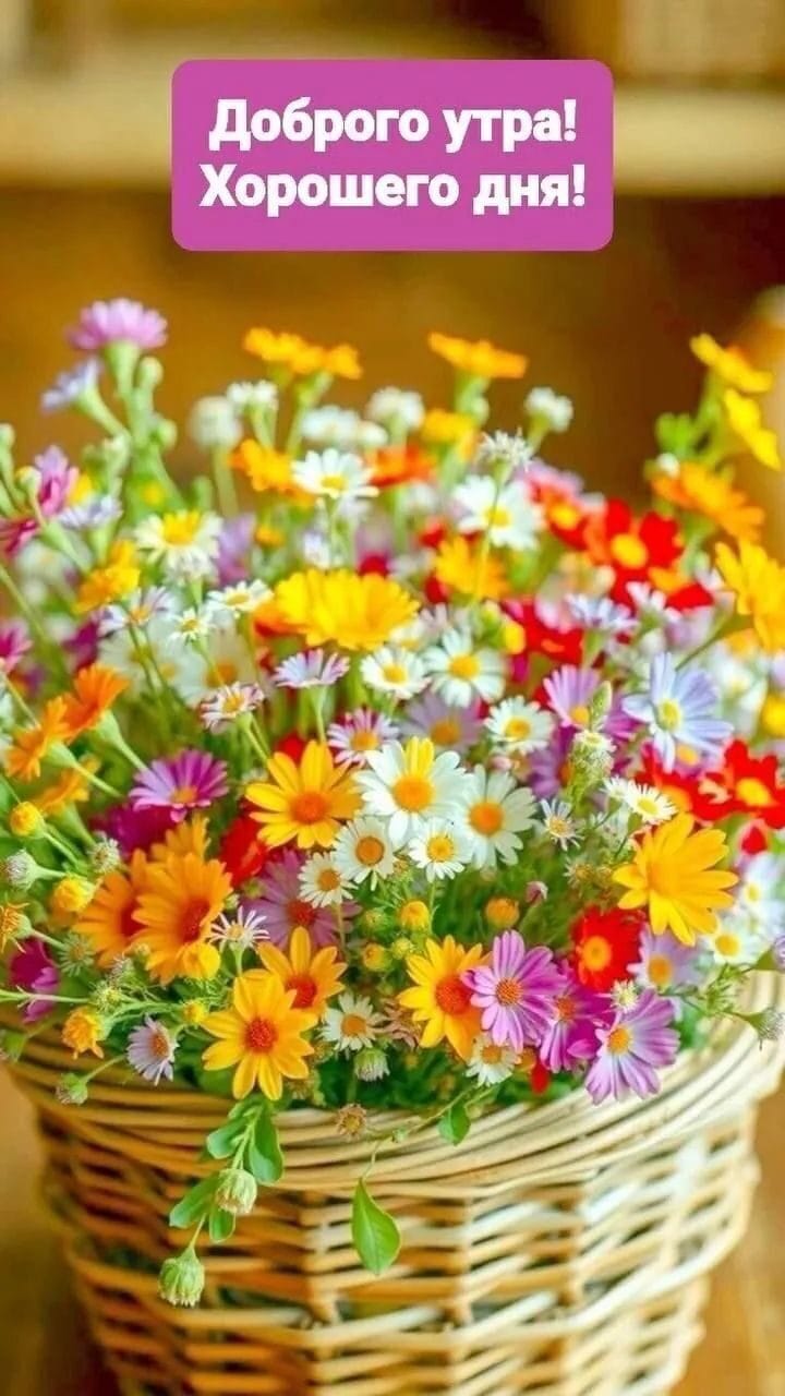 https://upforme.ru/uploads/000a/78/7a/526/804649.jpg