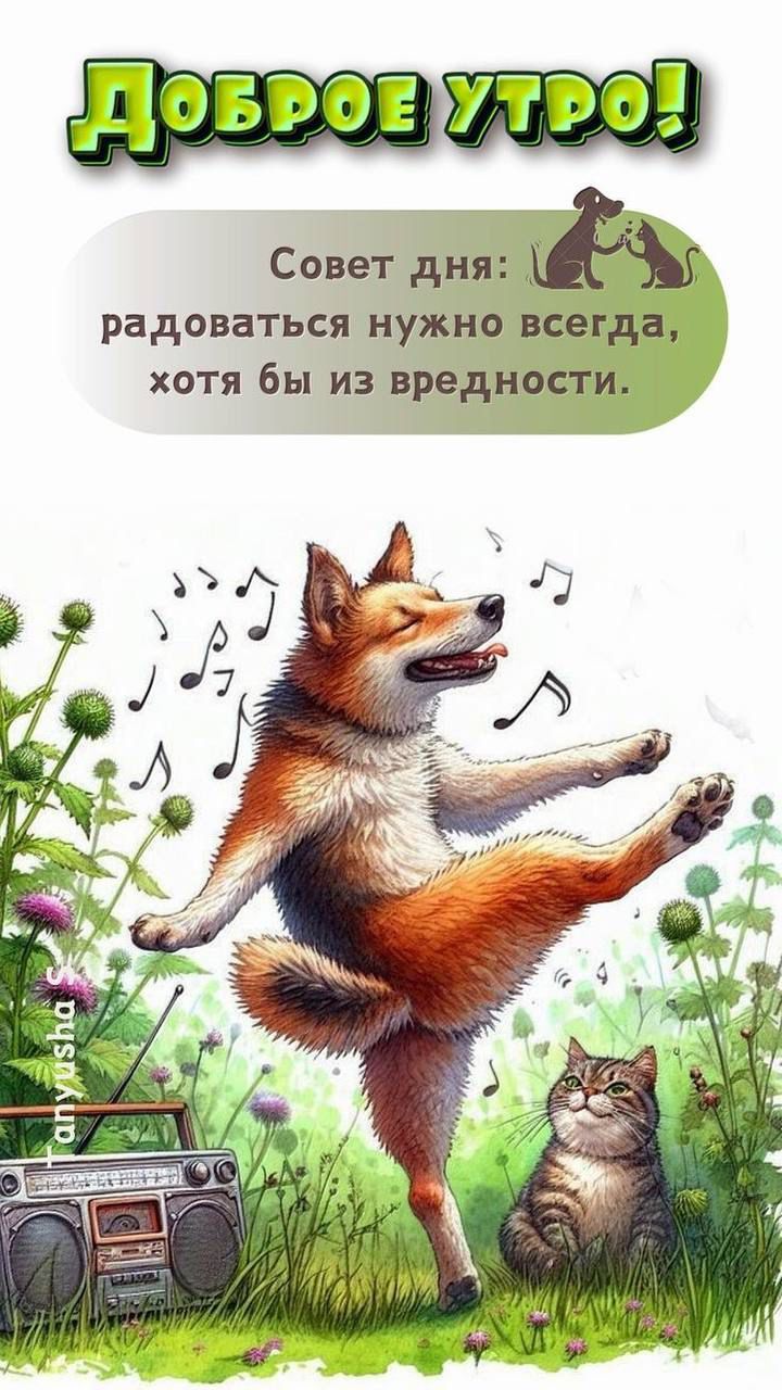 https://upforme.ru/uploads/000a/78/7a/526/807098.jpg