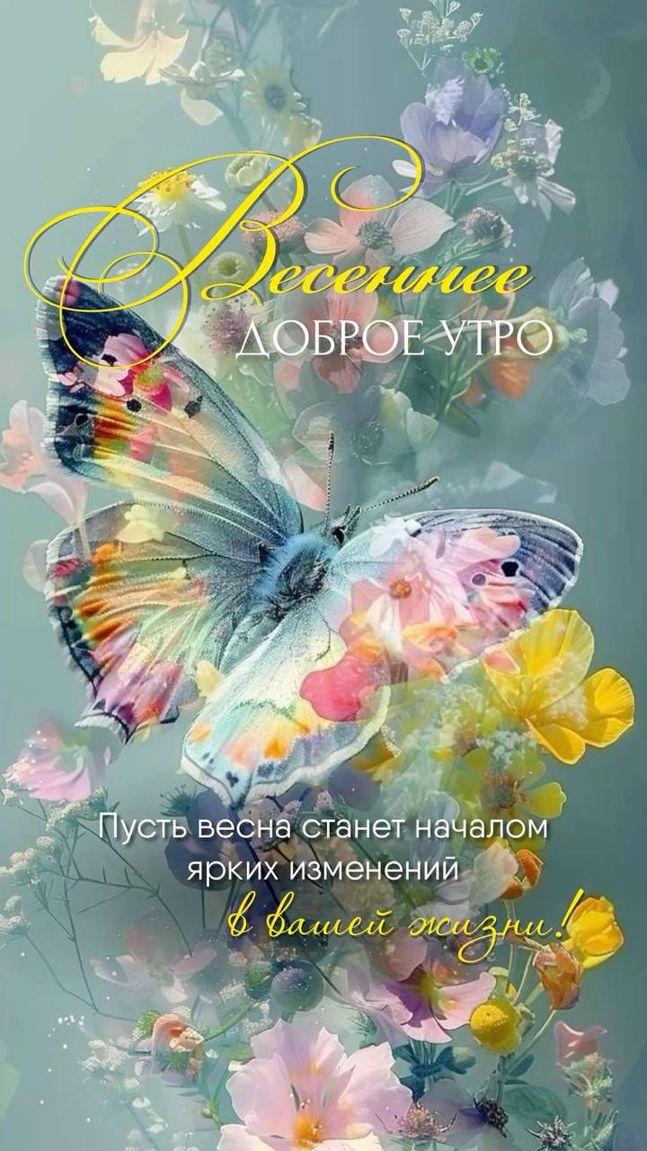 https://upforme.ru/uploads/000a/78/7a/526/824560.jpg