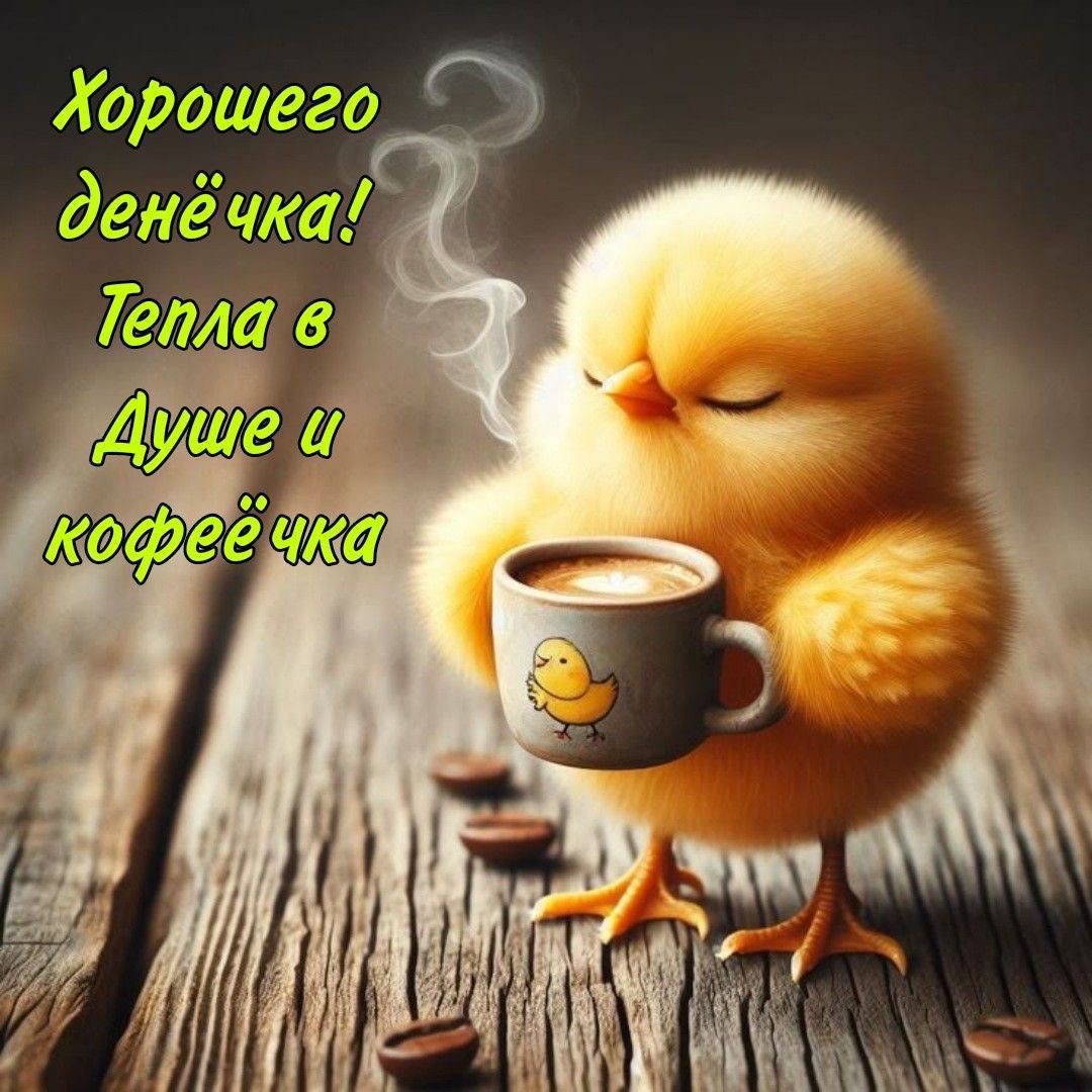 https://upforme.ru/uploads/000a/78/7a/526/824694.jpg