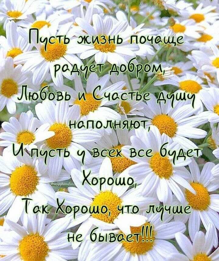 https://upforme.ru/uploads/000a/78/7a/526/845233.jpg