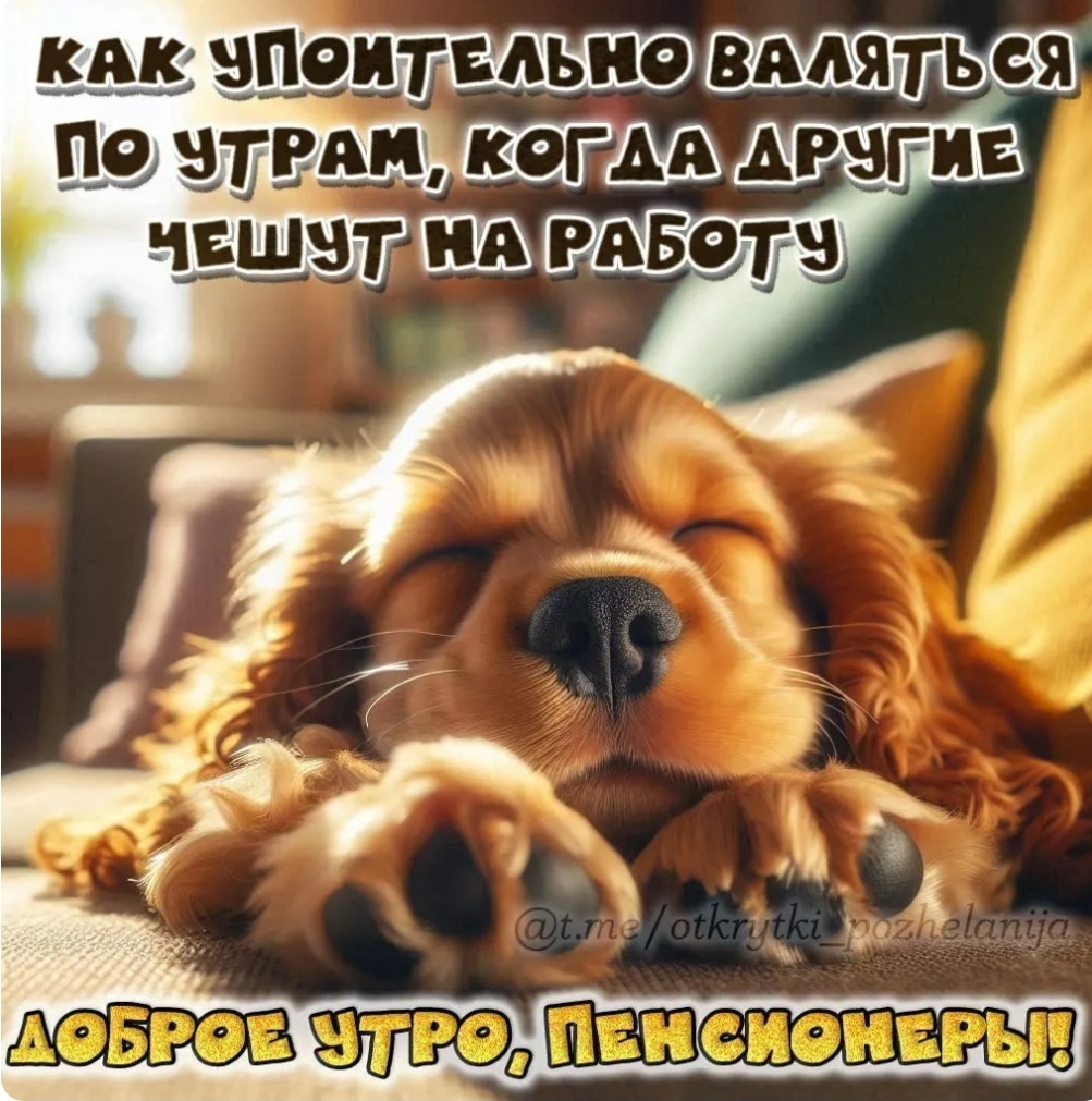 https://upforme.ru/uploads/000a/78/7a/526/852886.jpg