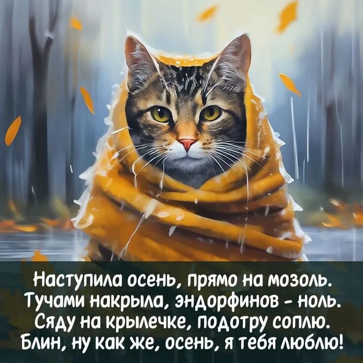 https://upforme.ru/uploads/000a/78/7a/526/854075.jpg