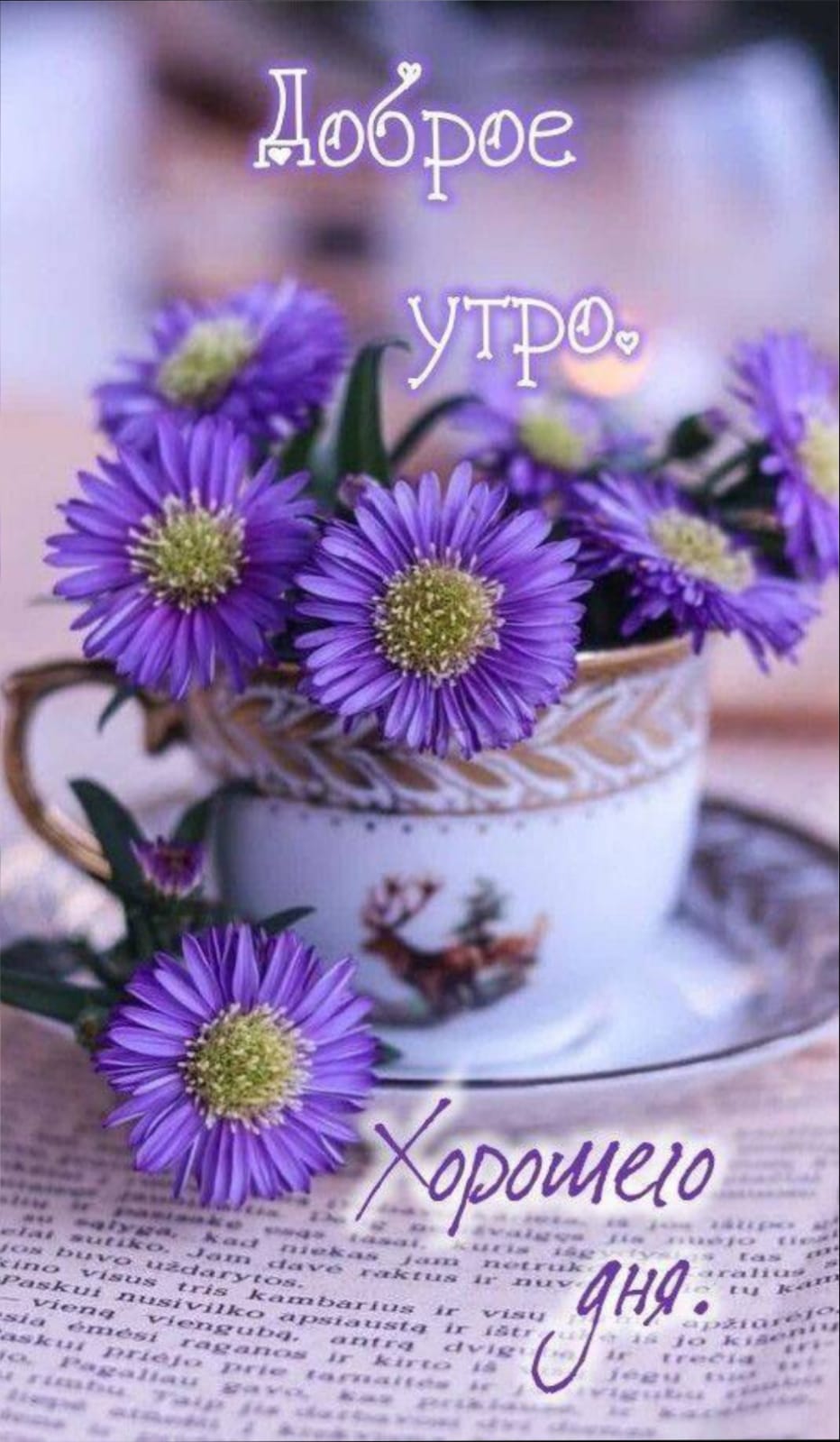 https://upforme.ru/uploads/000a/78/7a/526/87074.jpg