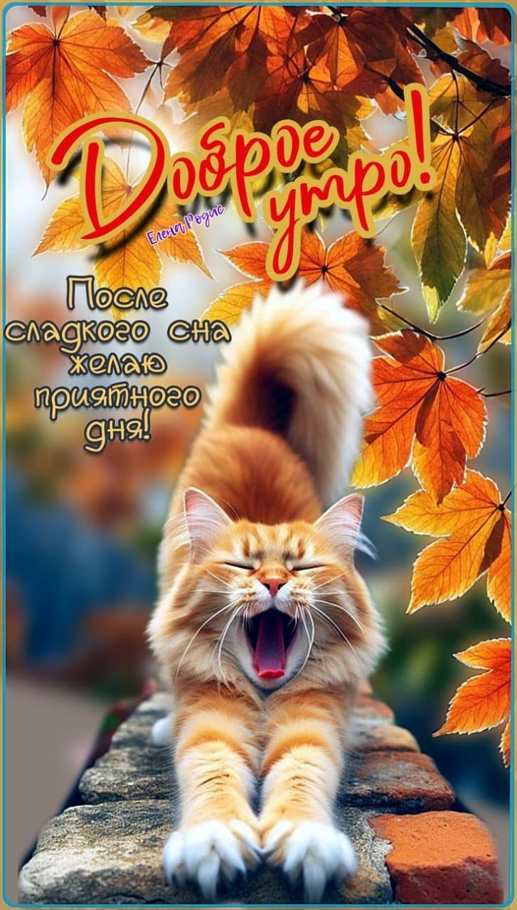 https://upforme.ru/uploads/000a/78/7a/526/871337.jpg