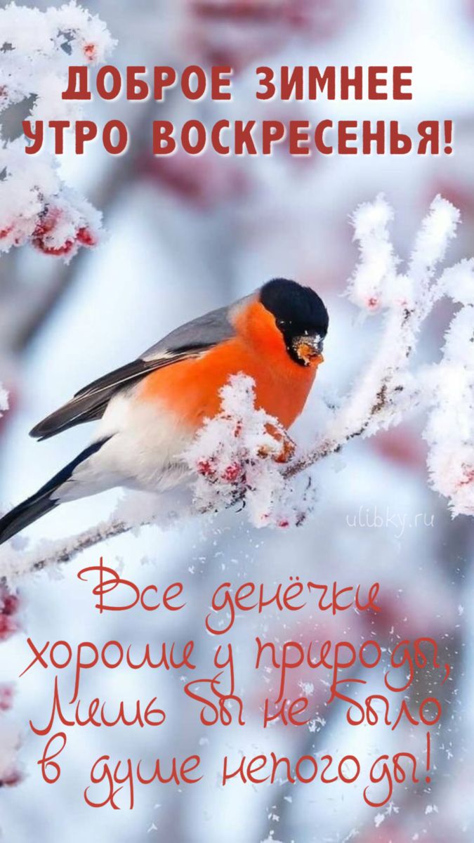 https://upforme.ru/uploads/000a/78/7a/526/888072.jpg