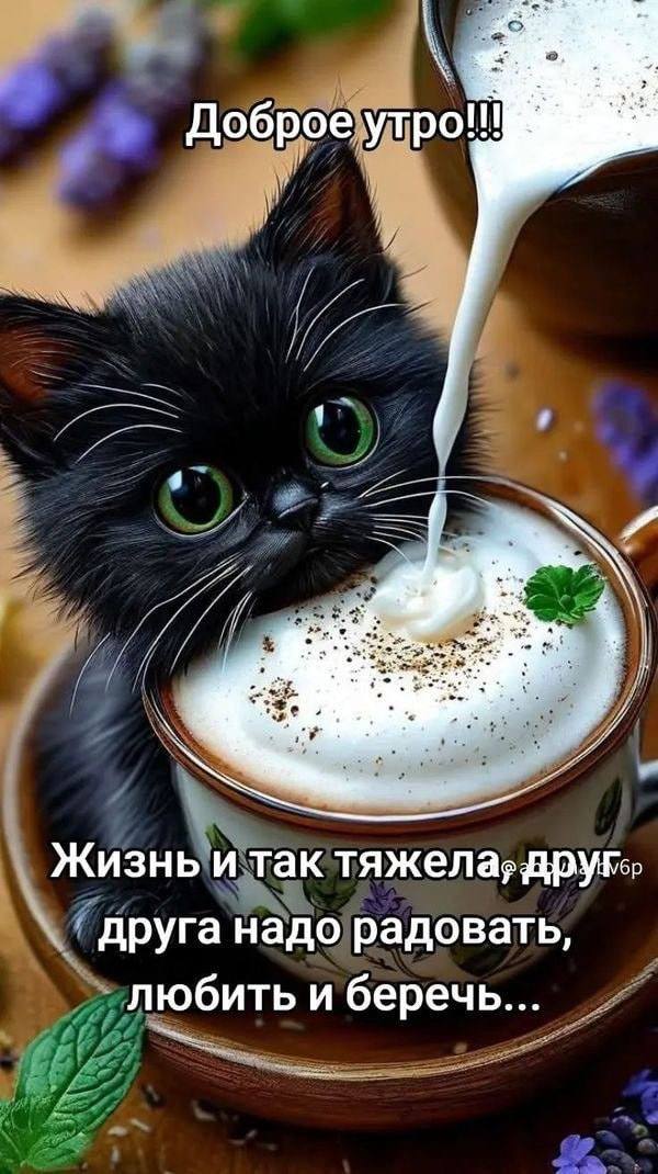 https://upforme.ru/uploads/000a/78/7a/526/889834.jpg