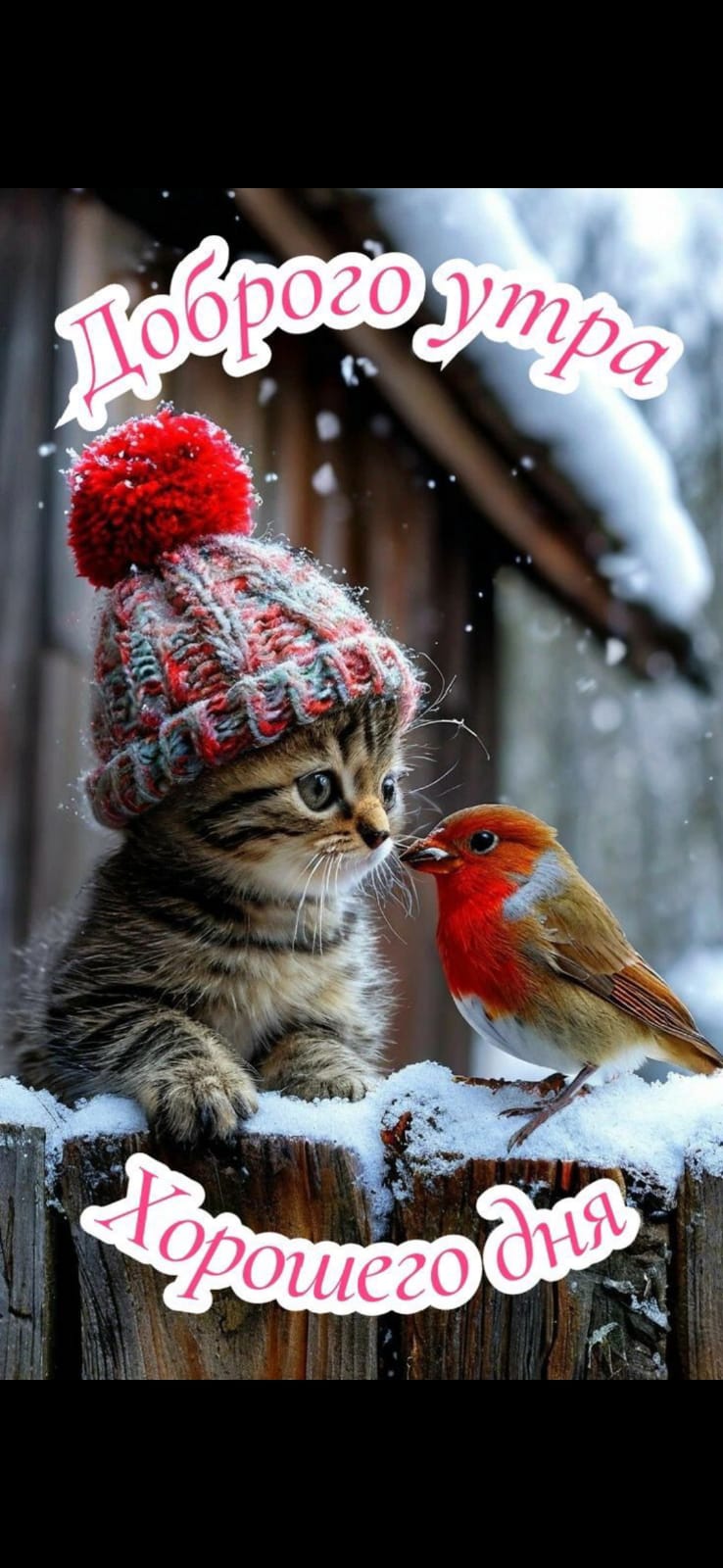 https://upforme.ru/uploads/000a/78/7a/526/902747.jpg