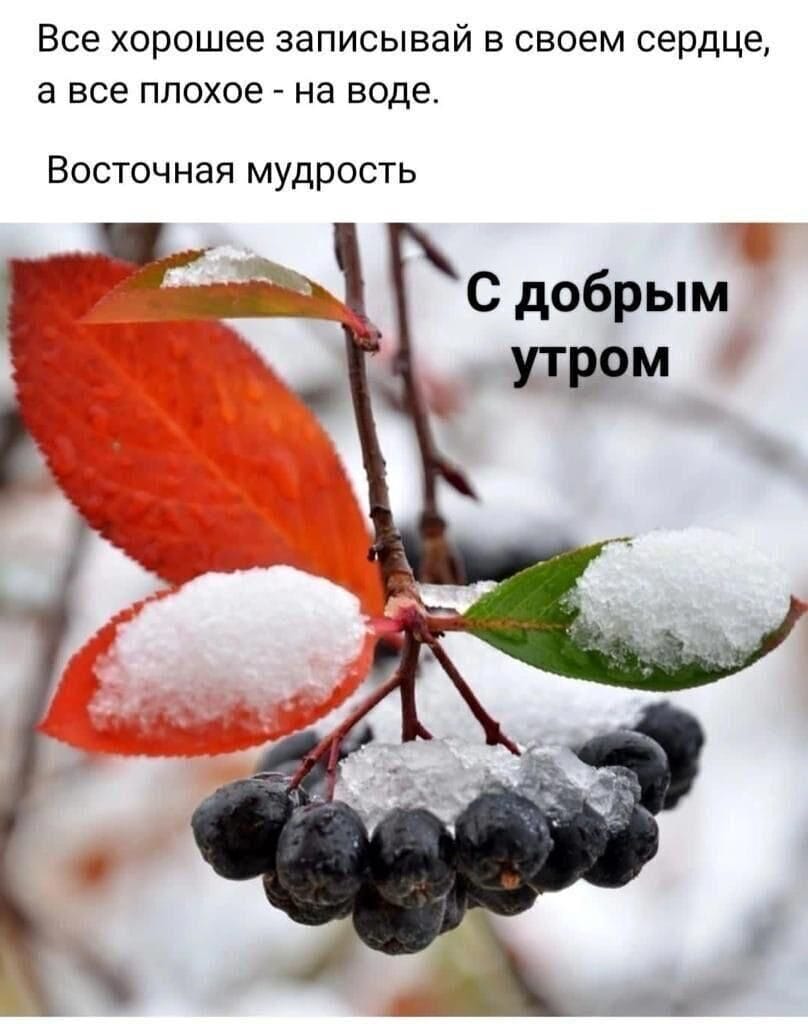 https://upforme.ru/uploads/000a/78/7a/526/916047.jpg