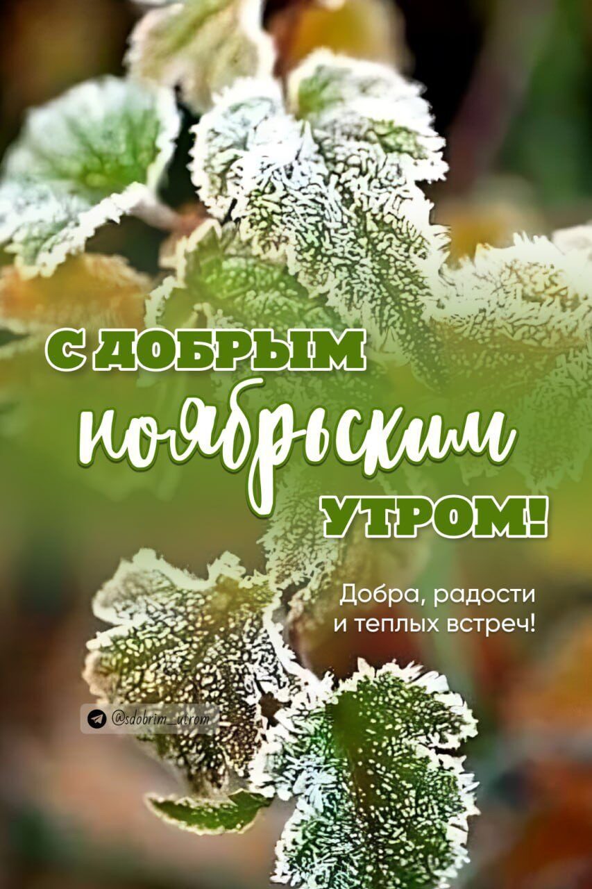 https://upforme.ru/uploads/000a/78/7a/526/932895.jpg