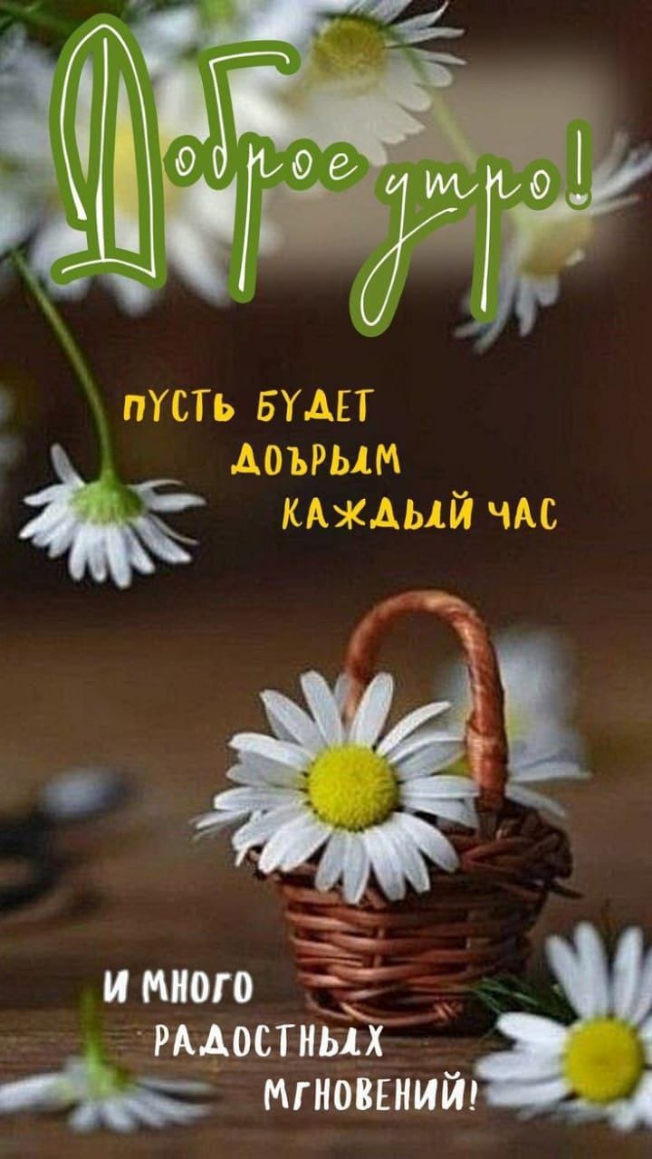 https://upforme.ru/uploads/000a/78/7a/526/94852.jpg