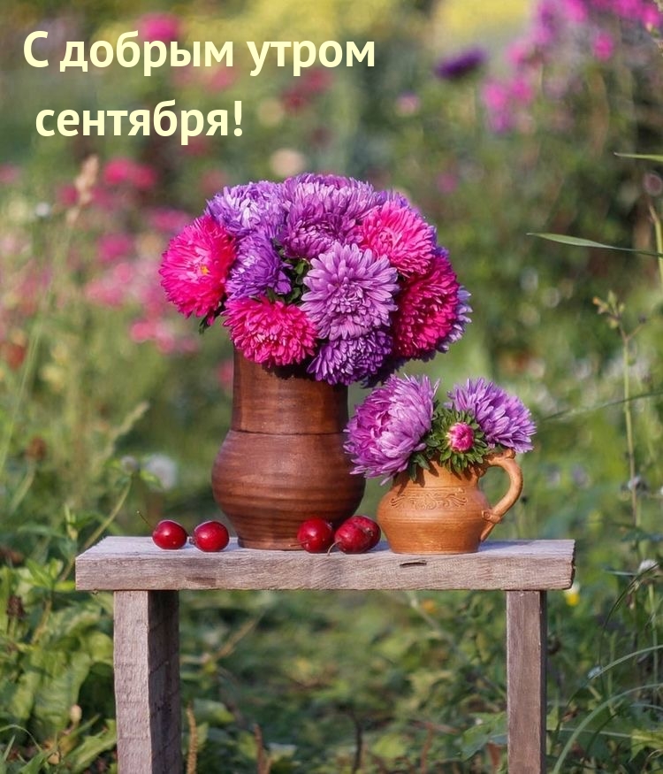https://upforme.ru/uploads/000a/78/7a/526/948612.jpg