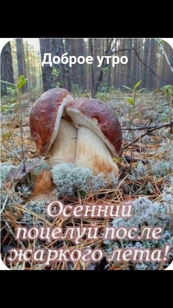 https://upforme.ru/uploads/000a/78/7a/526/95093.jpg
