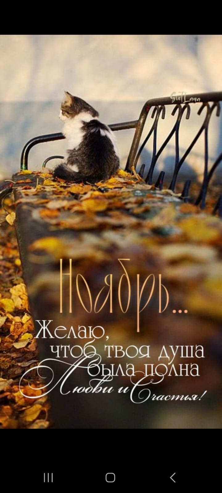 https://upforme.ru/uploads/000a/78/7a/526/956854.jpg