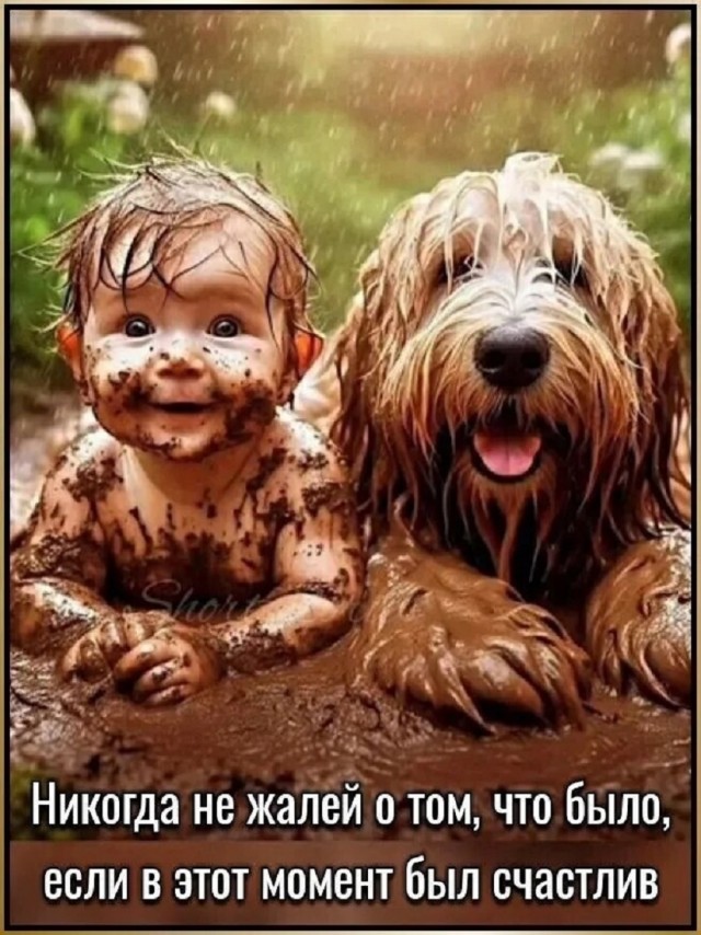 https://upforme.ru/uploads/000a/78/7a/526/969981.jpg