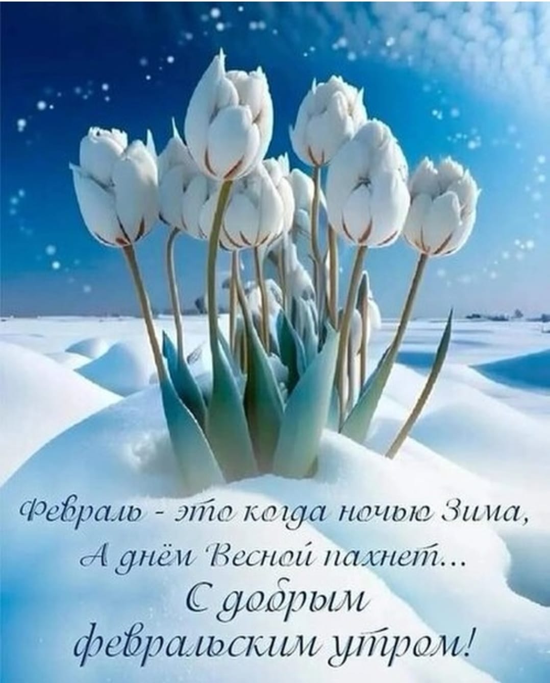 https://upforme.ru/uploads/000a/78/7a/526/974389.jpg
