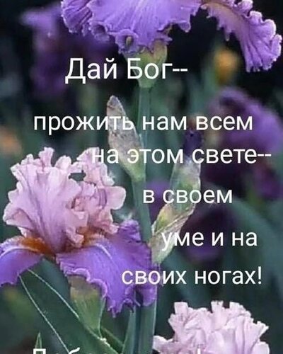 https://upforme.ru/uploads/000a/78/7a/526/974911.jpg
