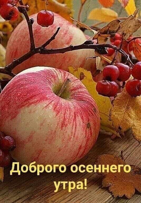 https://upforme.ru/uploads/000a/78/7a/526/985316.jpg