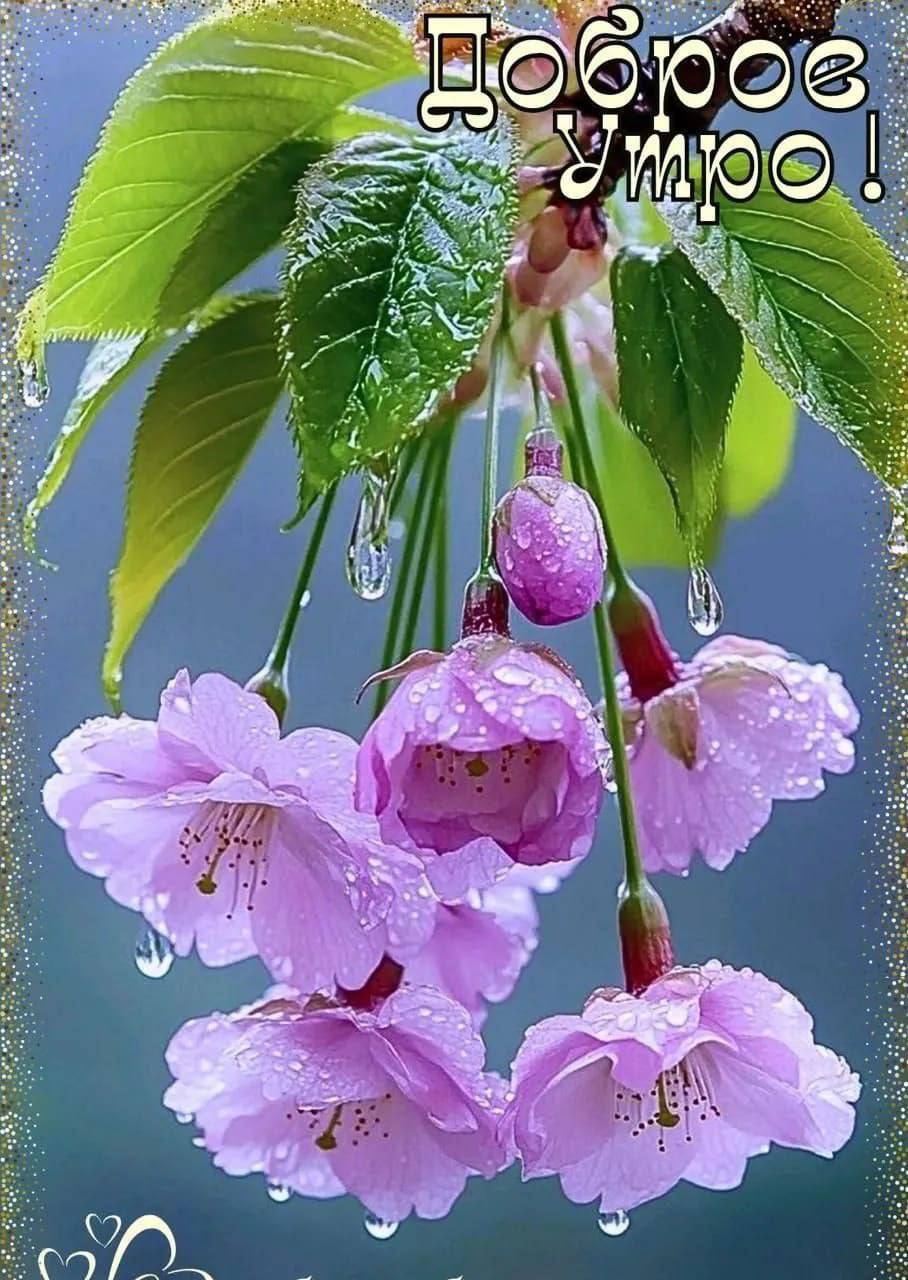 https://upforme.ru/uploads/000a/78/7a/526/988393.jpg