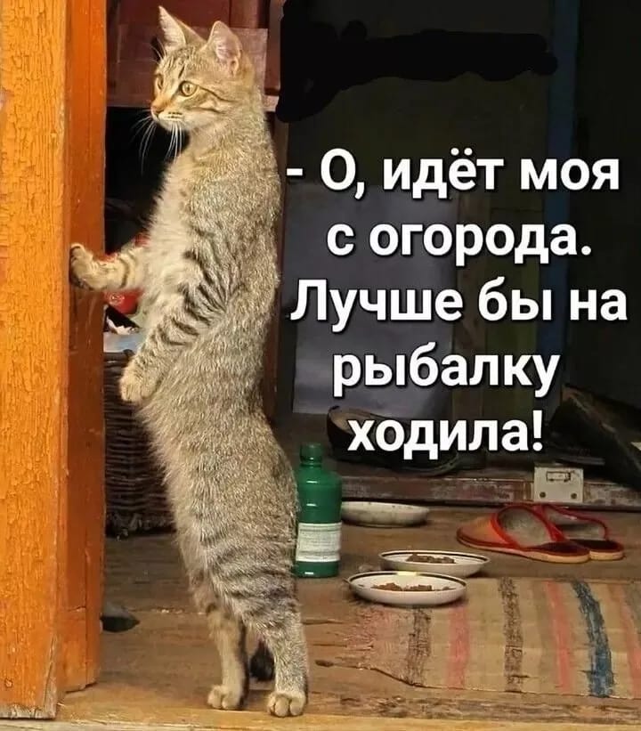 https://upforme.ru/uploads/000a/78/7a/526/999841.jpg